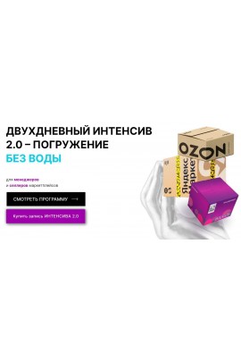 Двухдневный интенсив 2.0. Погружение без воды для менеджеров и селлеров маркетплейсов. Мария Кулешова, Никита Гуляев, Marketplace Step