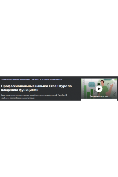 Профессиональные навыки Excel: Курс по владению функциями. Иван Плотников Udemy