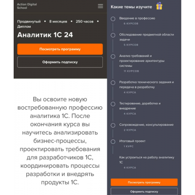  Аналитик 1С 2024. Рушана Колесникова, Сергей Карпаев  action digital school