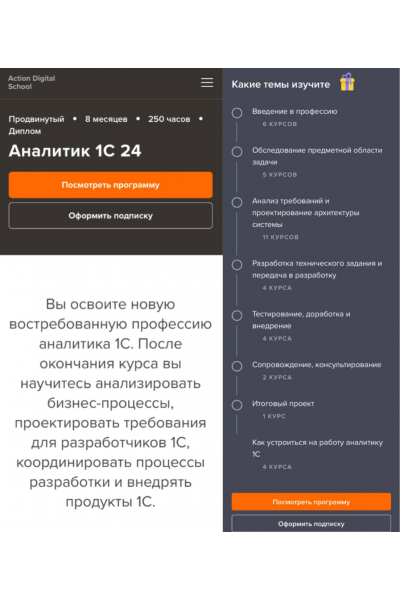  Аналитик 1С 2024. Рушана Колесникова, Сергей Карпаев  action digital school