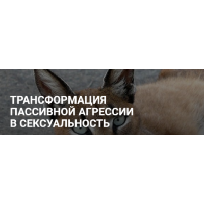 Трансформация пассивной агрессии в сексуальность. Без обратной связи. Альбина Роготовская