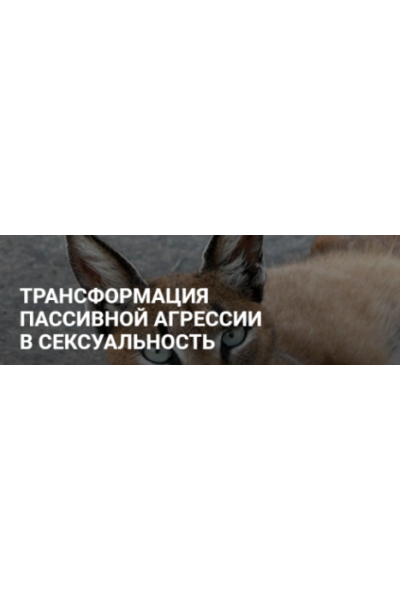 Трансформация пассивной агрессии в сексуальность. Без обратной связи. Альбина Роготовская