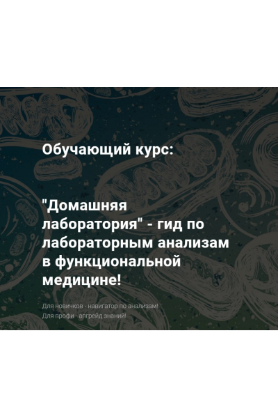 Гид по лабораторным анализам в функциональной медицине! Аминокислоты. Юлия Юсипова