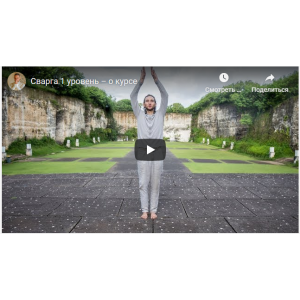 Сварга 1-й уровень. Дмитрий Лапшинов