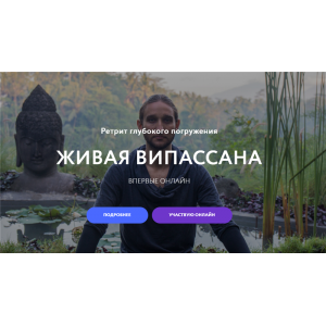 Живая Випассана. Тариф - Садху.  Дмитрий Лапшинов