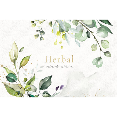 Herbal Watercolor collection. Травяная коллекция акварели.  Creativemarket  