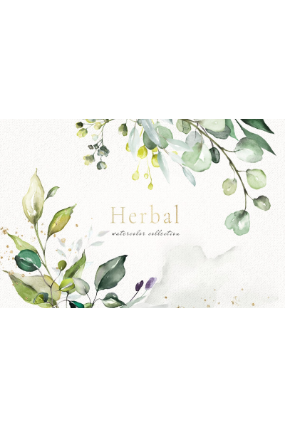 Herbal Watercolor collection. Травяная коллекция акварели.  Creativemarket  