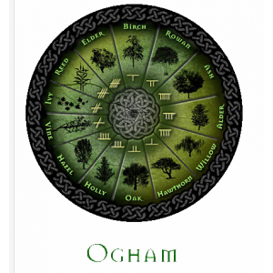 Майское дерево. Боярышник. NEW! Велимира 