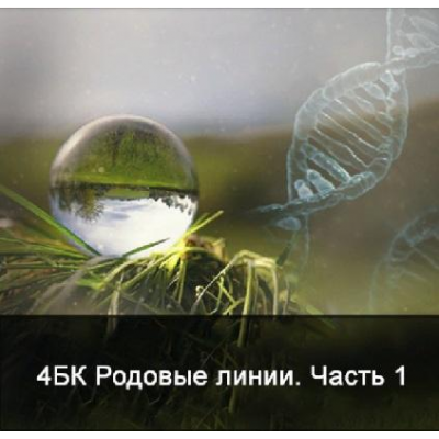 4 курс. Факультет основной. Родовые линии. Часть 1. Ксения Меньшикова