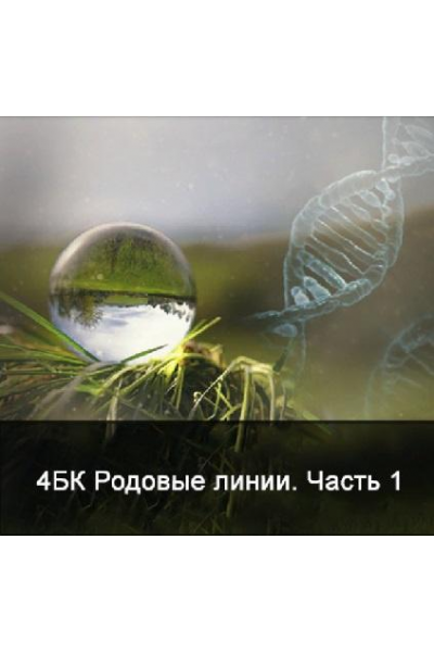 4 курс. Факультет основной. Родовые линии. Часть 1. Ксения Меньшикова