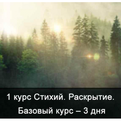 1 курс Стихий. Сила Стихий. Базовый курс – 3 дня (без камней). Ксения Меньшикова