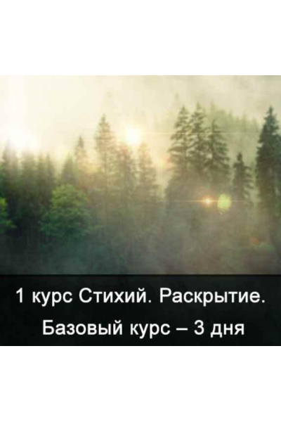 1 курс Стихий. Сила Стихий. Базовый курс – 3 дня (без камней). Ксения Меньшикова