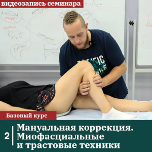 Мануальная коррекция. Миофасциальные и трастовые техники. Михаил Белюк, Егор Заславский Мануальная коррекция. Миофасциальные и трастовые техники. Михаил Белюк, Егор Заславский