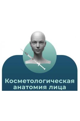 Анатомия человека. Тариф Косметологическая анатомия лица. Эдгар Кафаров