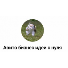 Обучение по авито и профессии авитолог. Авито бизнес идеи с нуля