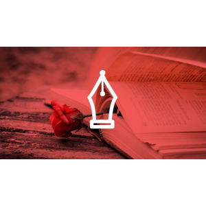 Как писать любовные романы и сделать на этом бизнес. Пэм Роллер