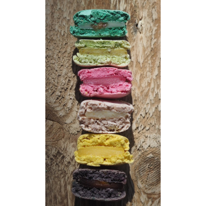 Macaron Holiday Edition. Таня Силаева Macaron Holiday Edition. Таня Силаева