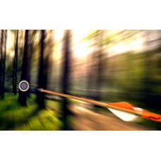 Работа с неопределенностью: от организующего начала к организованным формам сознания. Владимир Мелешин  ИПИР  2021