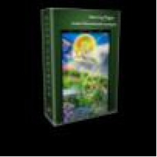 Анализ финансовой ситуации. Расклад на Таро. Алена Самошина