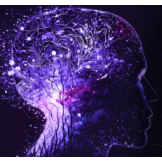 45 приёмов нейрографики. Тариф Стандарт. Павел Меренков